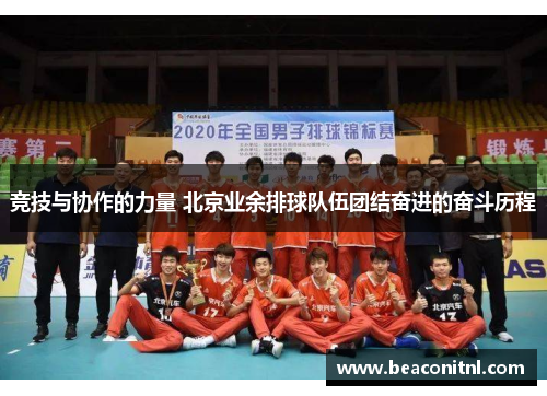 竞技与协作的力量 北京业余排球队伍团结奋进的奋斗历程 竞技与协作的力量 北京业余排球队伍团结奋进的奋斗历程